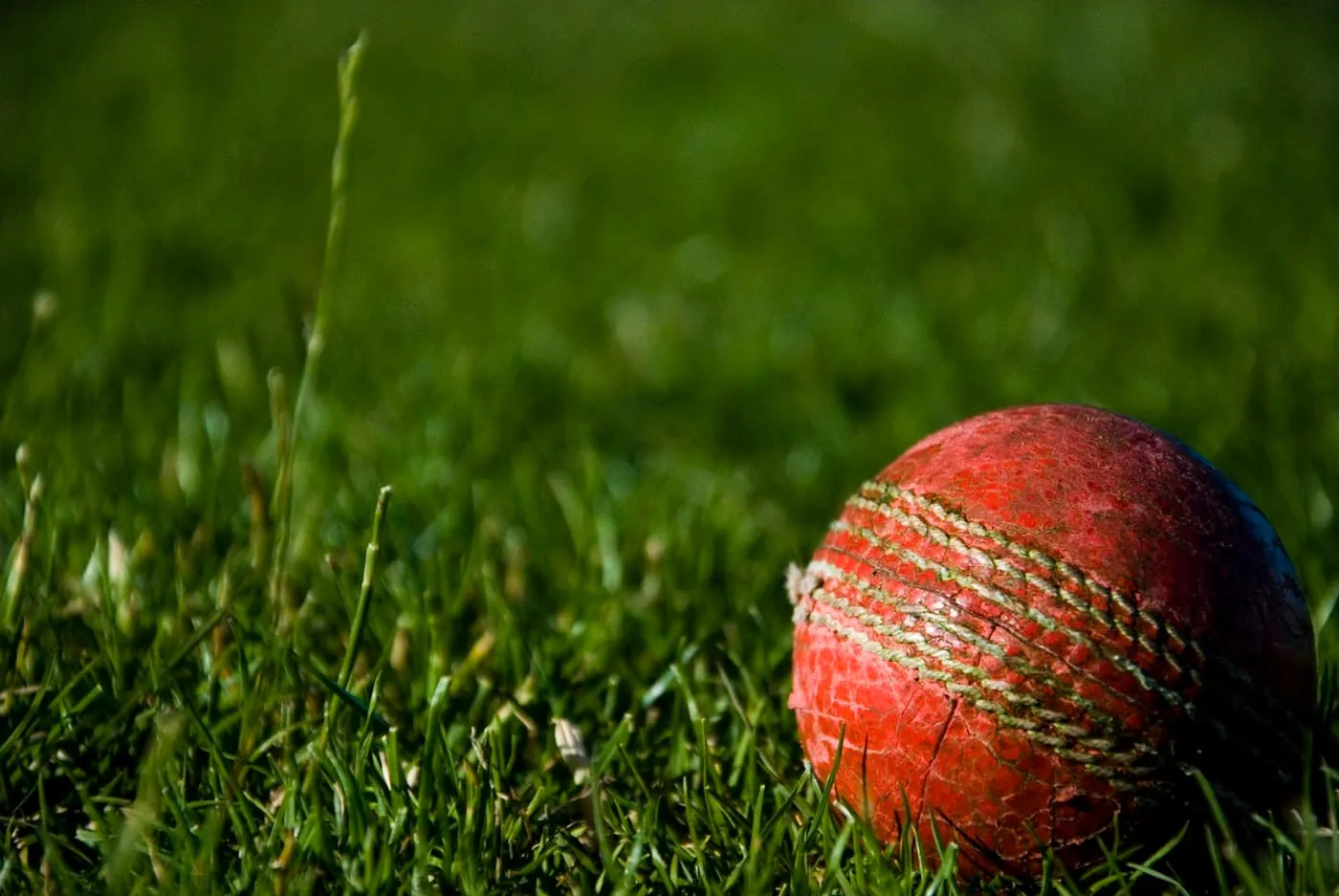 Backyard cricket on the grass during Australian summer gathering, plastic stumps and bat