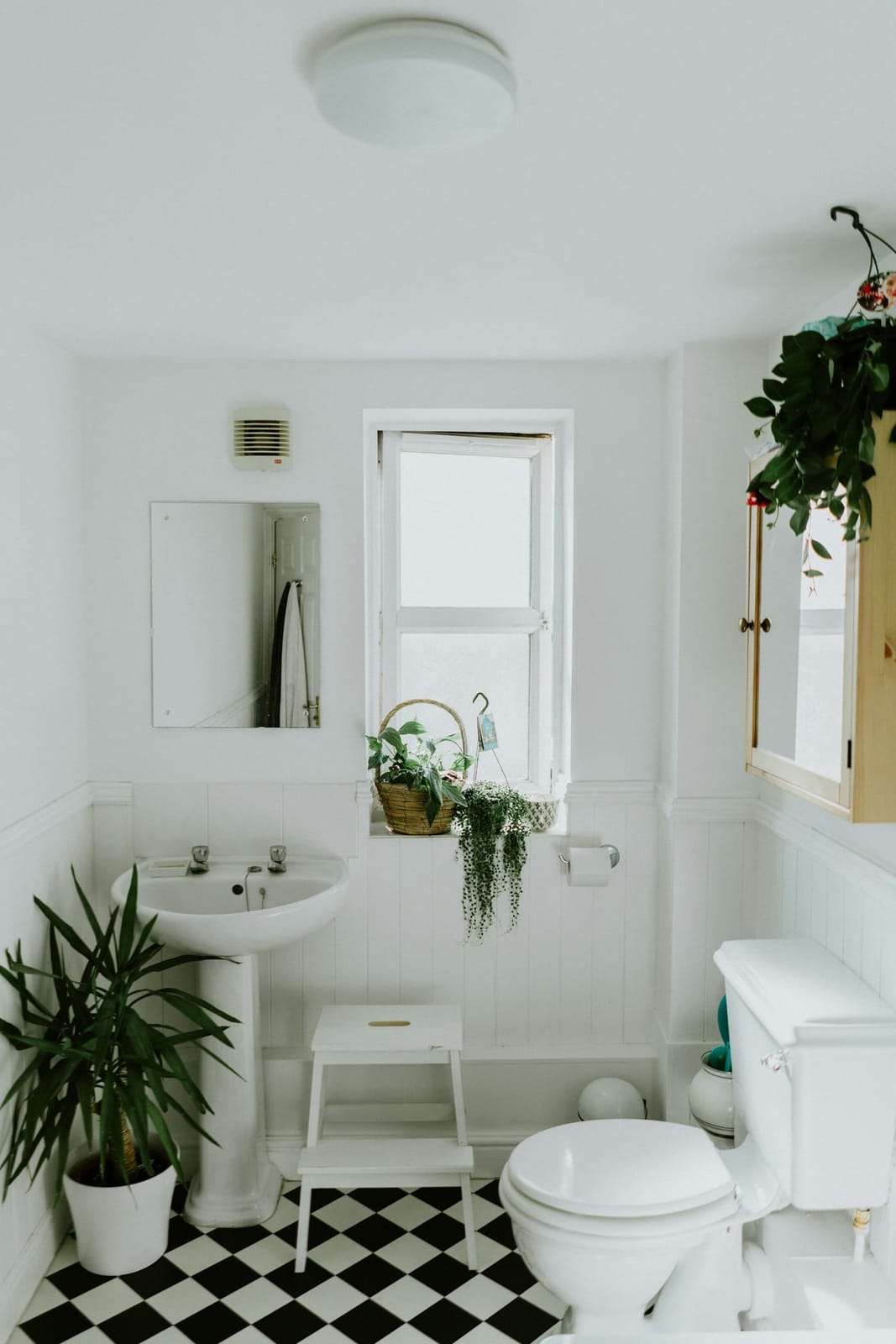 Coastal Bathroom Decor Ideas for Australian Homes (2026)